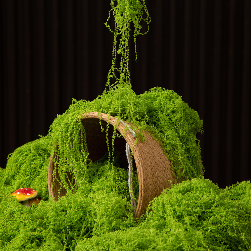 Preserved Moss Sheet - 200g Eeuwig leven mos DIY ambachten