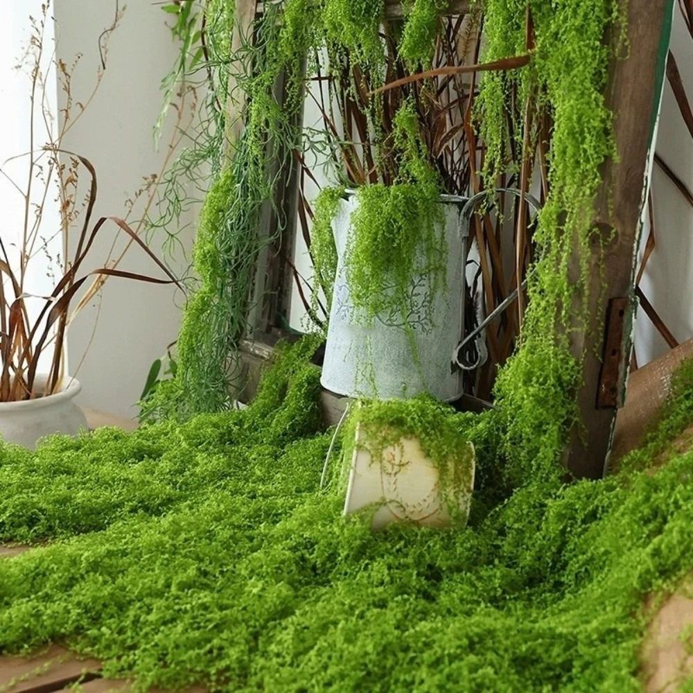 Preserved Moss Sheet - DIY Kunstgras Tapijt Duurzaam Geen Bewatering