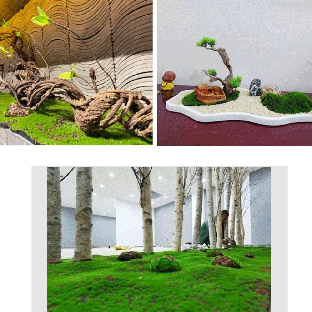 DIY nep mosgrasgras duurzaam e - Preserved Moss Sheet recensie en prijs