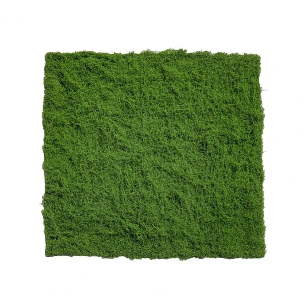 DIY Kunstgras Tapijt Duurzaam  - Preserved Moss Sheet recensie en prijs