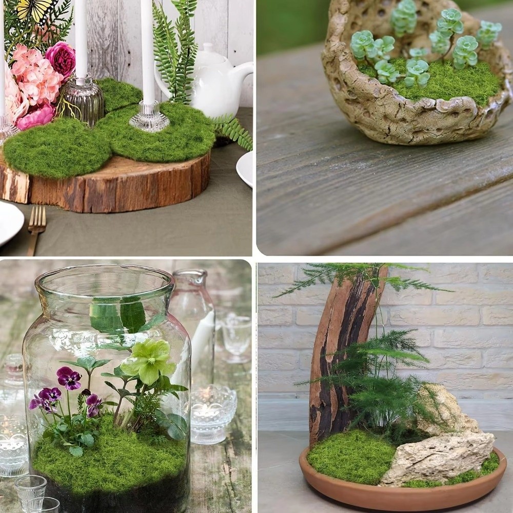 DIY Kunstgras Tapijt Duurzaam  - Preserved Moss Sheet recensie en prijs