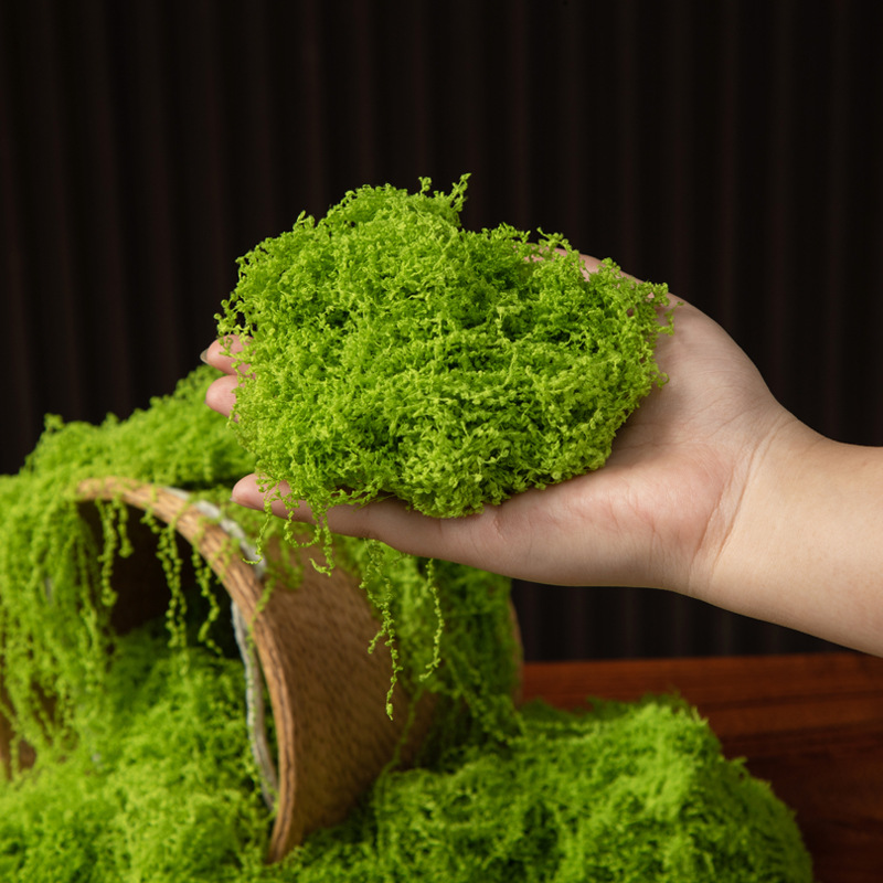 200g Eeuwig leven mos DIY amba - Preserved Moss Sheet recensie en prijs