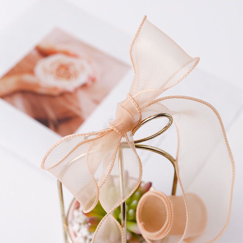 9Meter/Rol Doorschijnende Zijd - Ribbon Organza Roll recensie en prijs