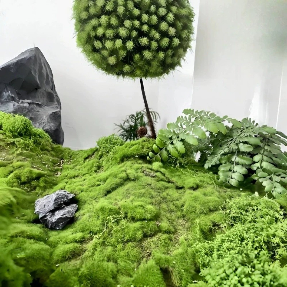 DIY Kunstgras Tapijt Duurzaam  - Preserved Moss Sheet recensie en prijs