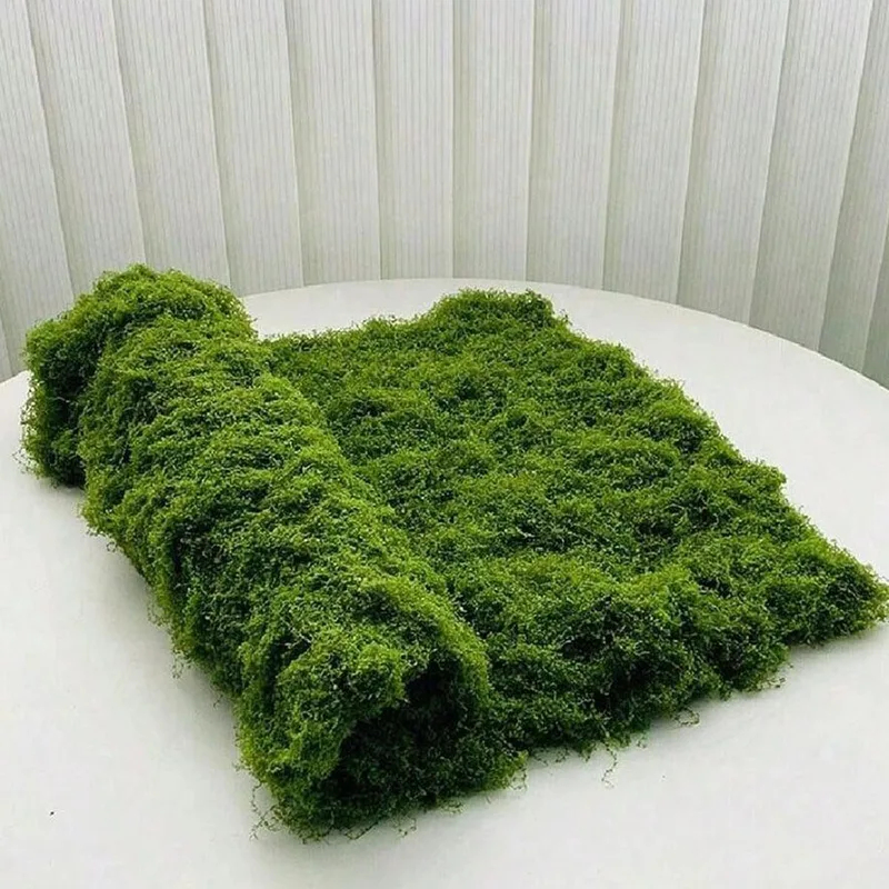 Kunstmos voor micro-landschaps - Preserved Moss Sheet recensie en prijs